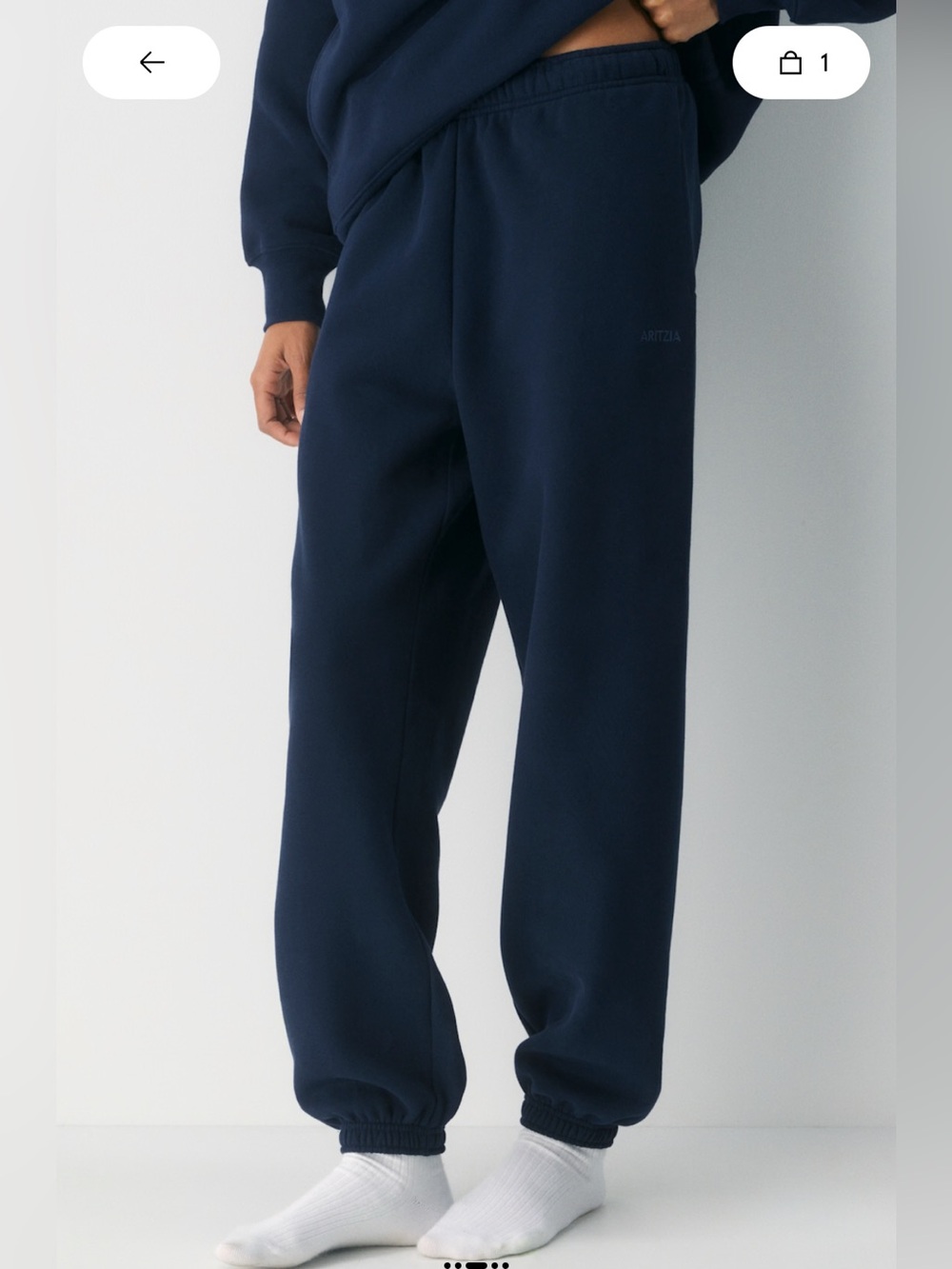 Aritzia Cozy Sweatfleece Mega Jogger in Admiral